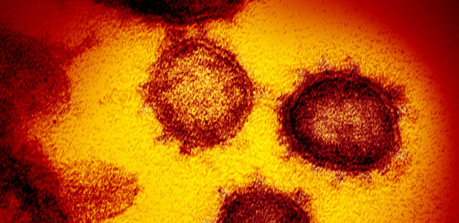 Брехнею року стало заперечення пандемії коронавірусу. Заяви Трампа на другому місці - Фото