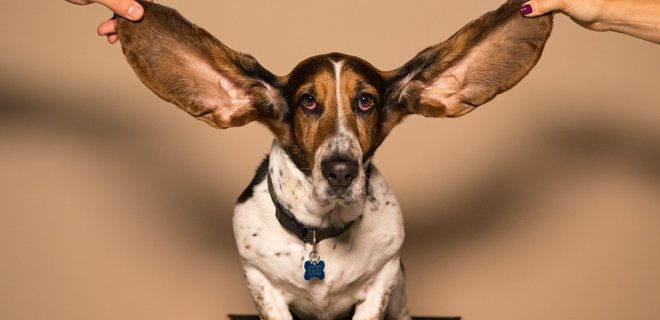 Що буде, якщо ніколи не чиcтити вуха? - Фото