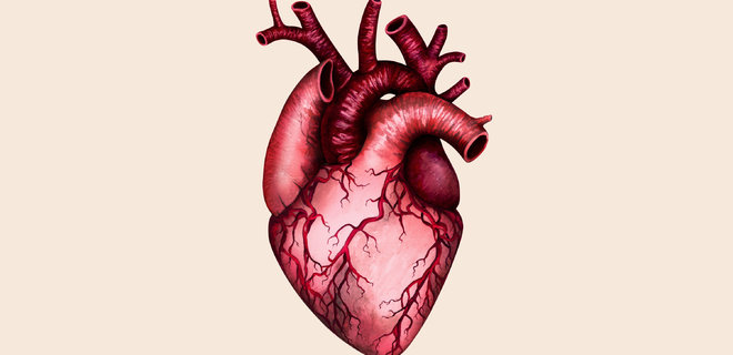Як зберегти серце здоровим? 5 факторів ризику розвитку хвороб серцево-судинної системи - Фото