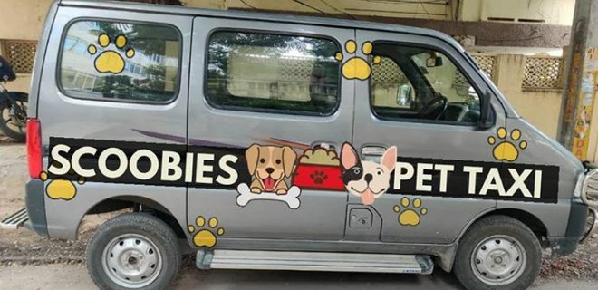 В Індії запустили службу таксі для домашніх тварин – Scoobies Pet Service - Фото