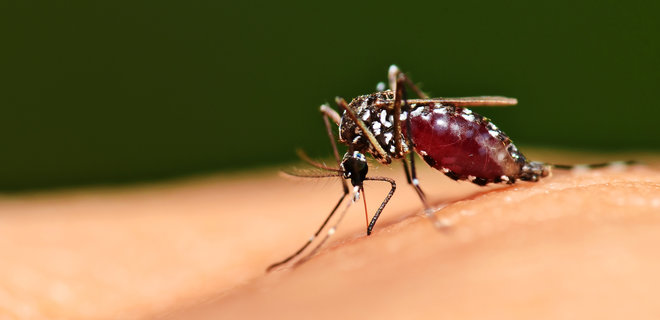 Вчені заявили про винайдення вдвічі ефективнішої вакцини від малярії - Фото