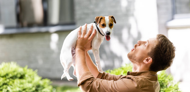 На власників якої породи собак більше реагують в застосунках для знайомств. Експеримент - Фото