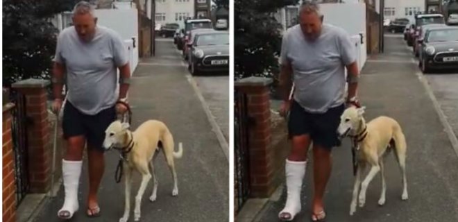 В Британії собака зімітувала травму власника, що коштувало йому 300 фунтів - Фото