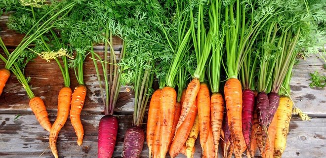 Бюджетні рецепти салатів з морквою. Поповнюємо запаси вітаміну А! - Фото