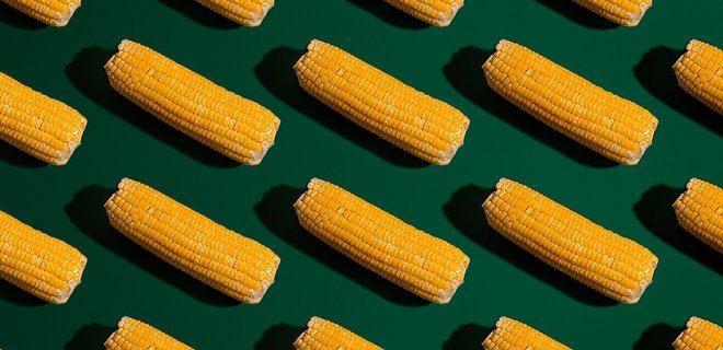 Сезон кукурудзи. Все, що слід знати про овоч: калорійність, вміст цукру, користь та ризики - Фото