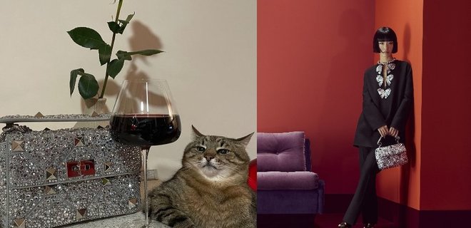 Зірка-кіт Степан запартнерився з Valentino. І невдало з YARO - Фото