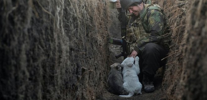 Фото з фронту на Донбасі у списку найкращих за версією Reuters. Історія знімку зі щенятами - Фото