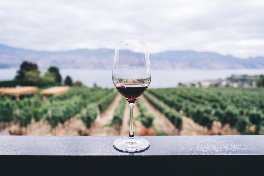Чому вино не таке корисне, як здається. Про склад вина та як алкоголь впливає на організм - Фото