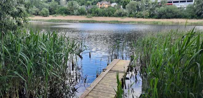Парк відпочинку площею 19 га біля Совських ставків перейде у користування 