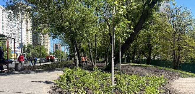 В Голосеевском районе на месте демонтированных МАФов высадили деревья и кусты - Фото