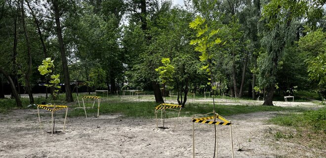 В Киеве на Приречной, где хотят построить паркинг, активисты высадили 15 деревьев - Фото