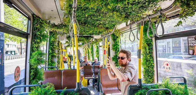 В Антверпене трамвай превратили в движущийся сад — фото - Фото