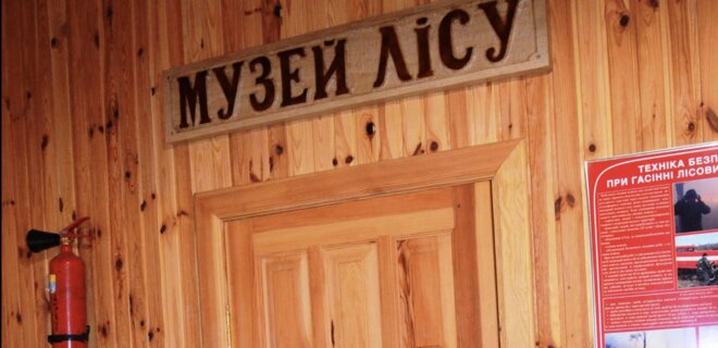 В старейшем лесничестве Киева обустраивают Музей леса – лесоводы нашли старые документы - Фото