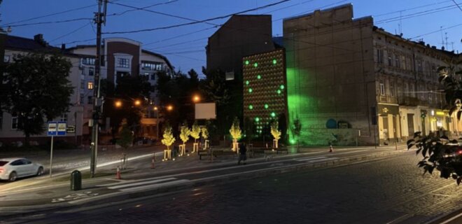 Во Львове на транспортном хабе в центре подсветили деревья и озелененную стенку — фото - Фото