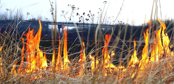 Из-за сжигания сухостоя выгорело почти 8000 гектаров земли с начала года — ГСЧС - Фото