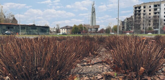 В Бородянке восстановили уничтоженную во время боевых действий зеленую зону - Фото